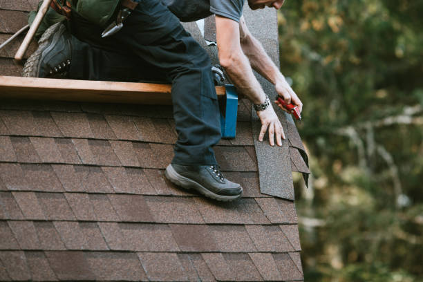 Roof Gutter Cleaning in Blountstown, FL
